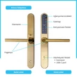 SmartPass Monaco Gold