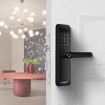 SmartPass Tokyo WiFi Black